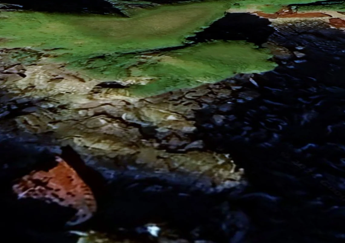 Isla Ulak en Google Earth